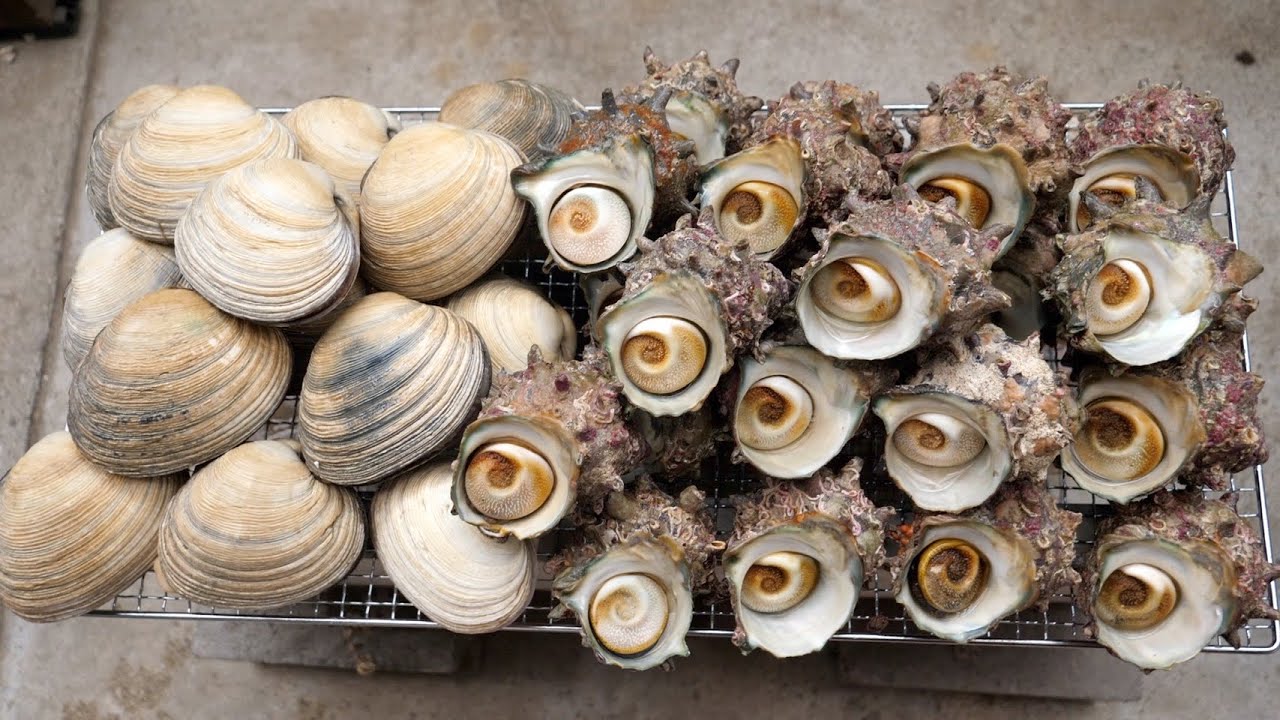 大量の【サザエ】と【大アサリ】で悪魔的な料理作ってしまいました。悪用厳禁。