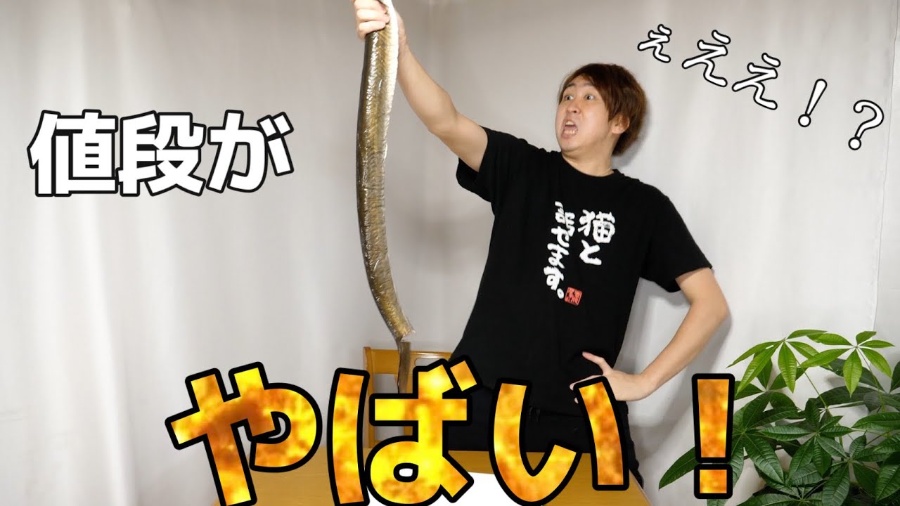 幻のウナギ。みなさん『1尾??0,000円のウナギ』って見たことありますか？こんなん最終回ですよ。。。