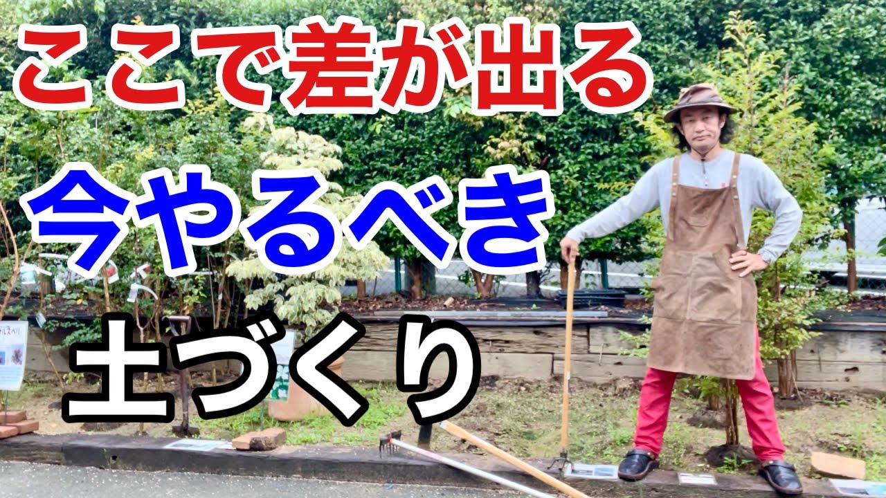 【基礎知識】誰でもできる植物がよく育つ土の作り方教えます　　　【カーメン君】【園芸】【ガーデニング】【初心者】【土壌改良】