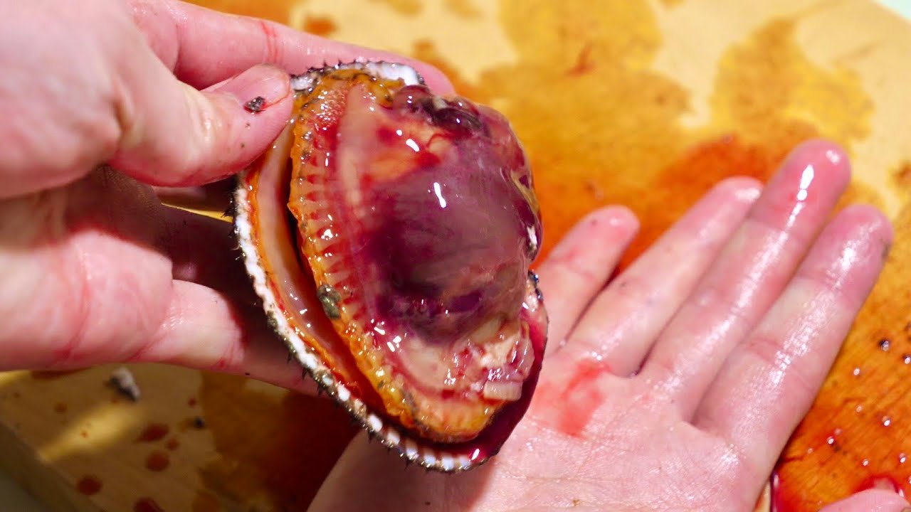 自己責任。赤貝の肝が危ないけどうまいらしいので食べてみたら・・・。