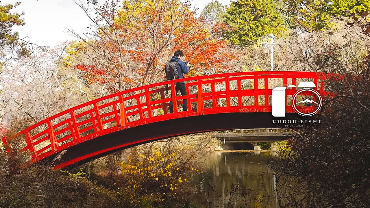 【風景写真】田舎の晩秋・野鳥の声 - Late autumn in Japan | 4K