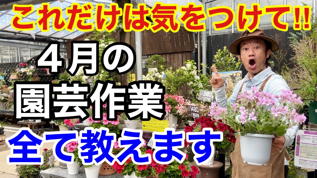 【まるわかり情報】４月に必要な園芸作業はこれだけです！　　　　【カーメン君】【園芸】【ガーデニング】【初心者】