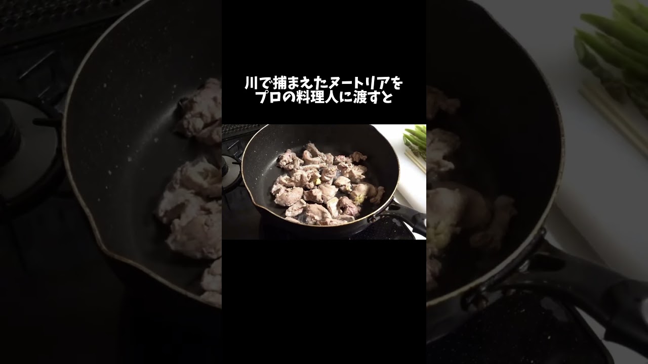 川で捕まえたヌートリアをプロの料理人に渡してみると… #shorts