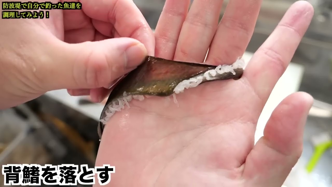 防波堤で釣りをしてたらまさかの展開にwwww