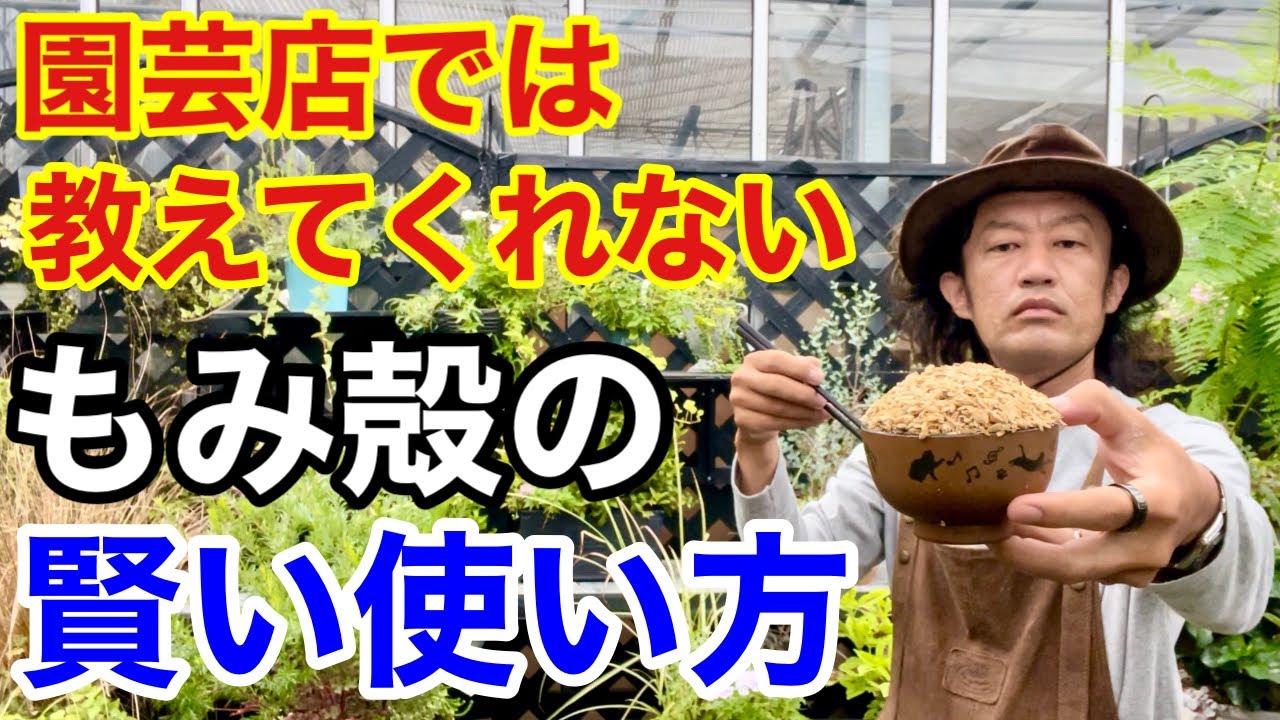 【最高の土壌改良材】「もみ殻」の賢い使い方　　　　【カーメン君】【ガーデニング】【初心者】