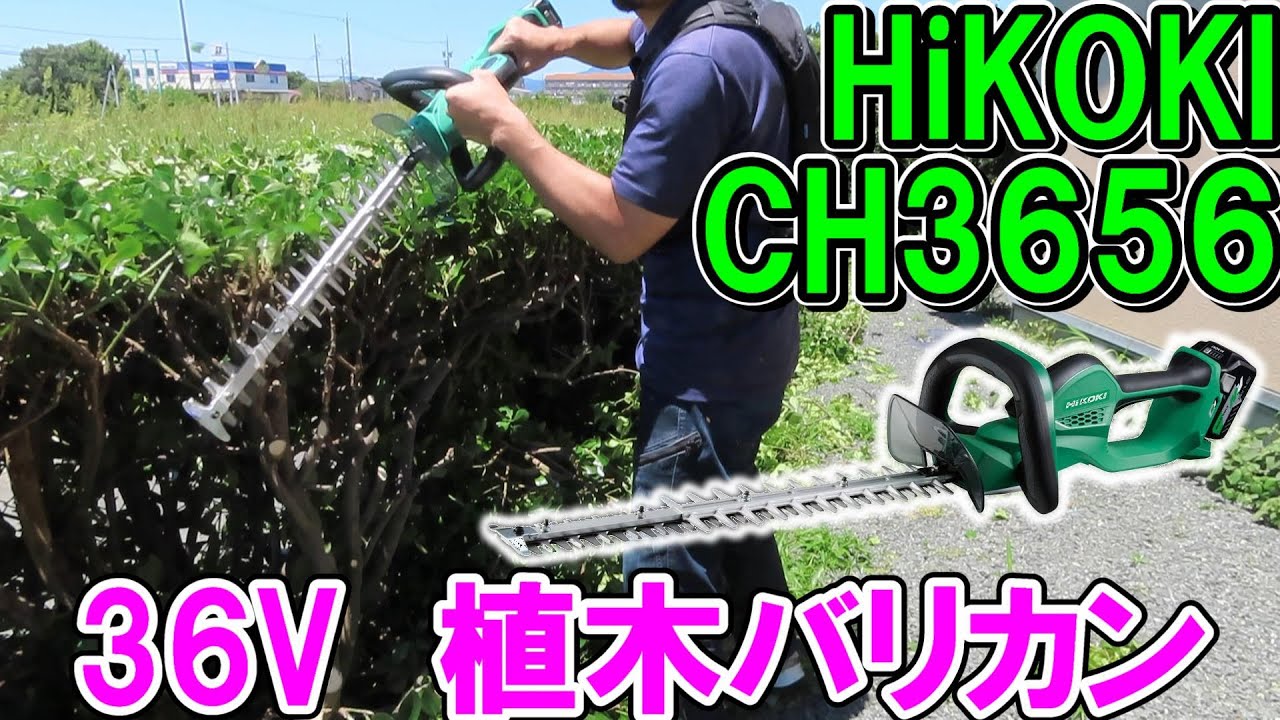 HiKOKI36Vコードレス植木バリカンCH3656DAとKebtek剪定ハサミで垣根を刈り込む