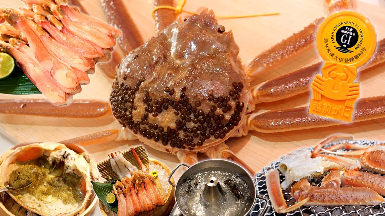 【至福】最強のカニでフルコース作ってみた。