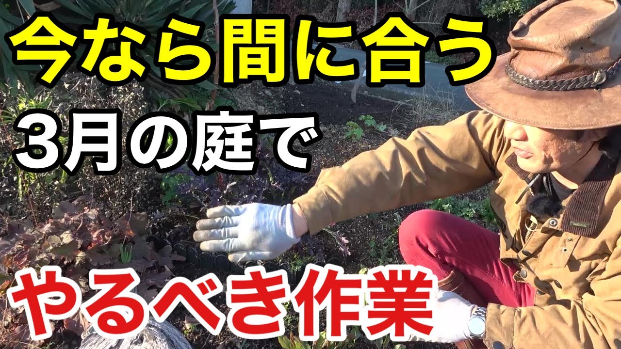 【まだ間に合います】 やってなければ早急にやっ方が良い春先の庭作業           【カーメン君】【ガーデニング】【リフォーム２２】