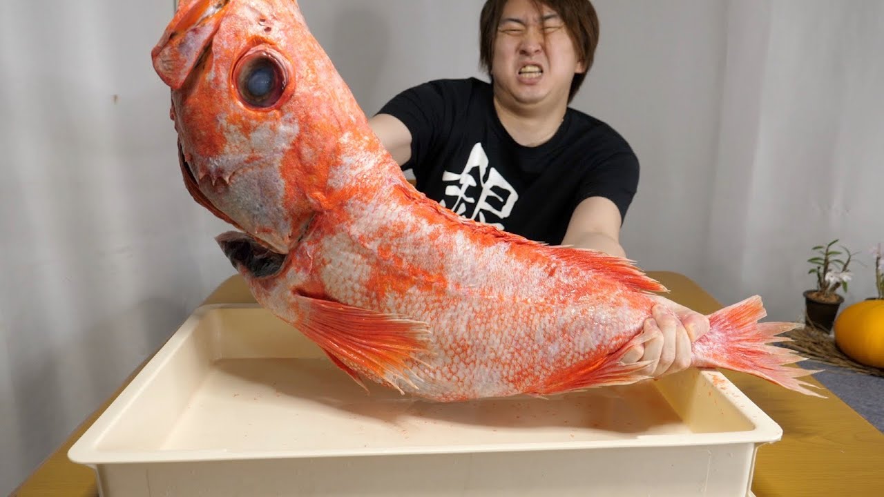 深海500メートルに生息するの幻の巨大魚【メヌケ】が手に入りました！！
