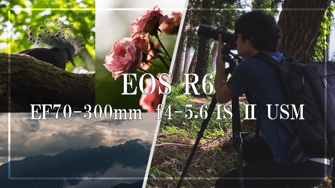 【EOSR6】RAW(DNG)配布・作例 | EF70-300mm f4-5.6 IS Ⅱ USM