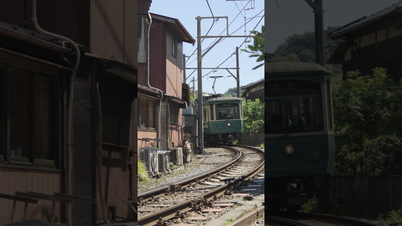 6月の鎌倉,江ノ電,紫陽花｜Kamakura, June #shorts