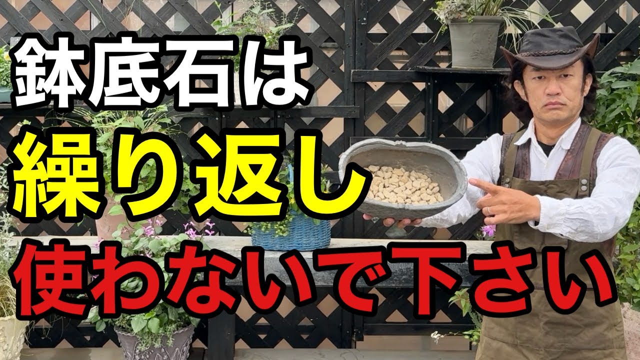 【目からウロコ】あなたが使ってる鉢底石の落とし穴教えます　　【カーメン君】【園芸】【花ごころ】【くり返し何度も使える鉢底石】