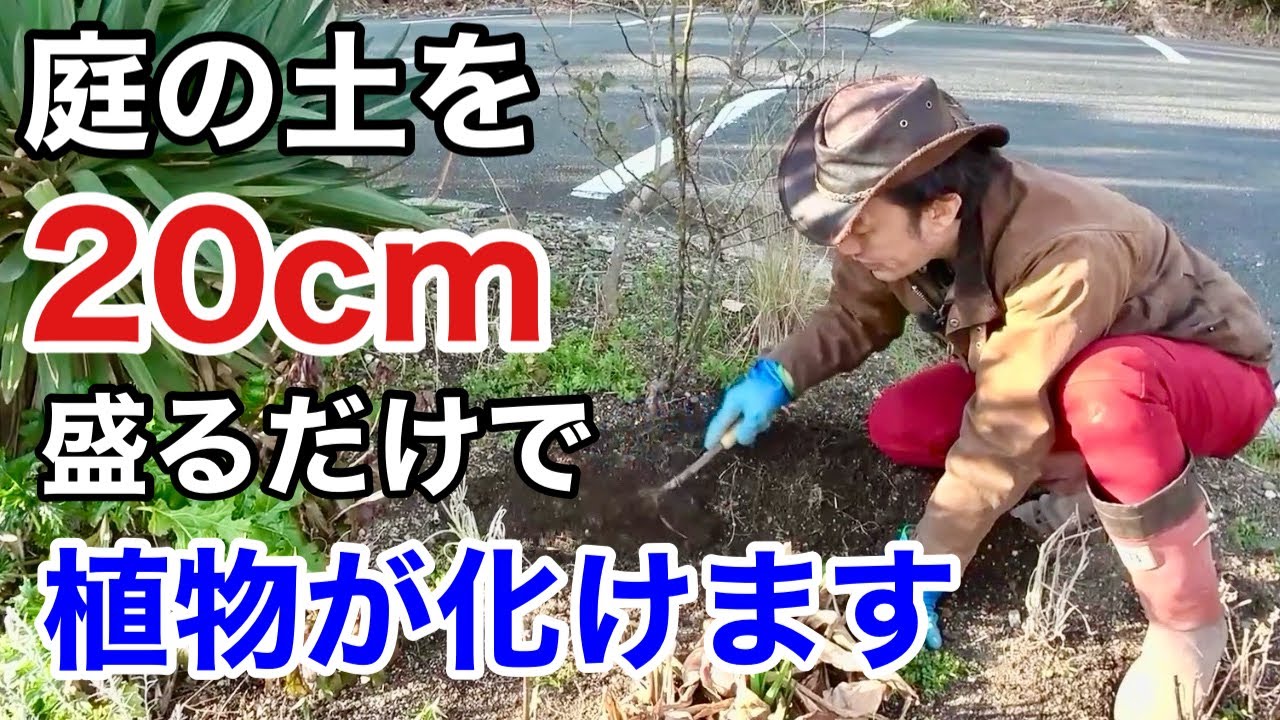 【たったこれだけで】植物の調子がみるみる良くなる植え方教えます　　　　　　　　【カーメン君】【園芸】【ガーデニング】【初心者】