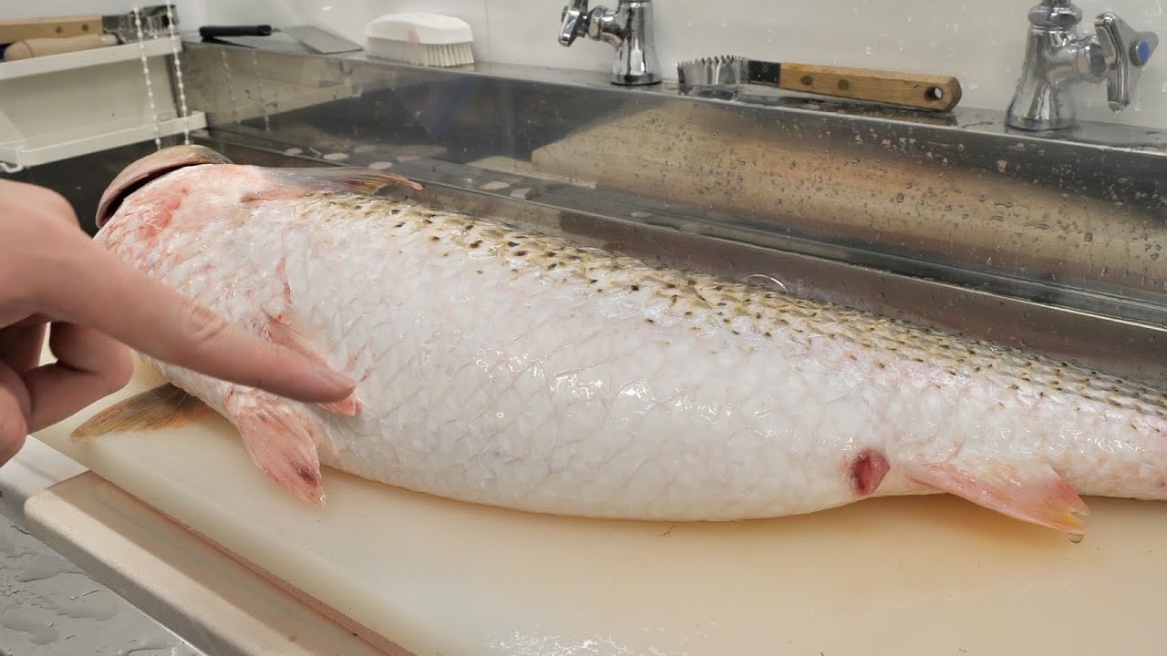 破裂しそう…ぱっんぱんの謎の魚【ヤスミ】のお腹の中から。。。