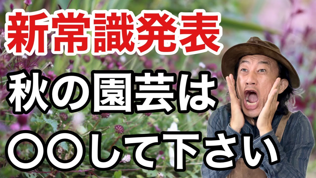 【知らないと損】やった人だけ得する秋のガーデニング術教えます　　　　【カーメン君】【園芸】【ガーデニング】【初心者】