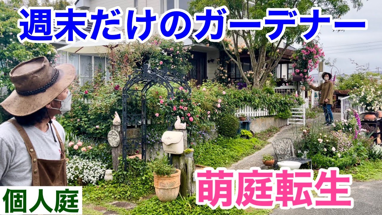 【去年と全然違う】週末女性が作る理想の庭公開します　　　　　　　　　【カーメン君】【園芸】【ガーデニング】【個人庭】【渡辺さん】