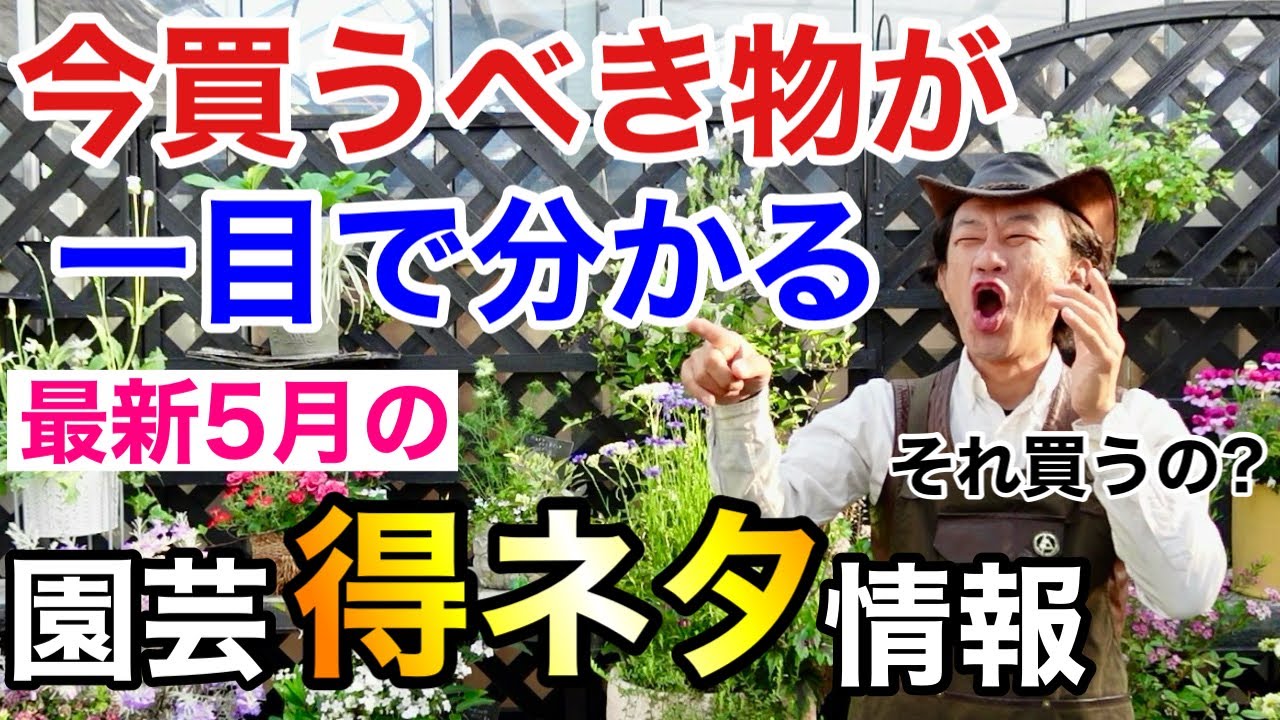 【選べない地獄】5月園芸初心者は予習してから買いに行くべき　　　　　　【カーメン君】【園芸】【ガーデニング】【初心者】