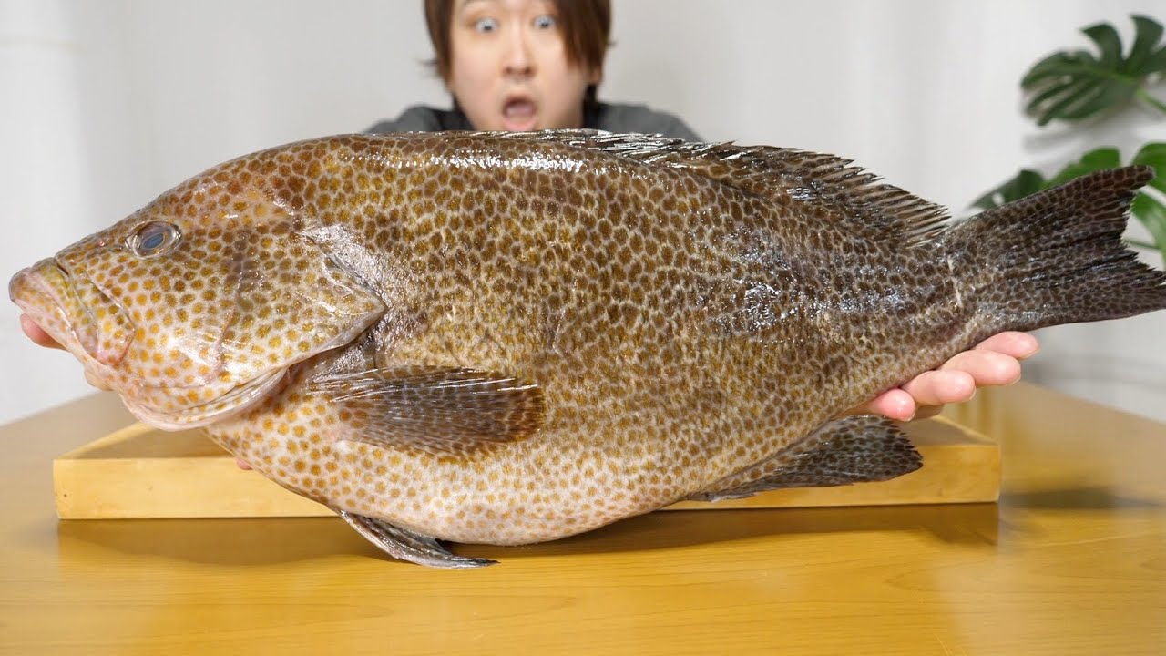 ここまで太った魚、みなさん見たことありますか？お腹の中身が衝撃。