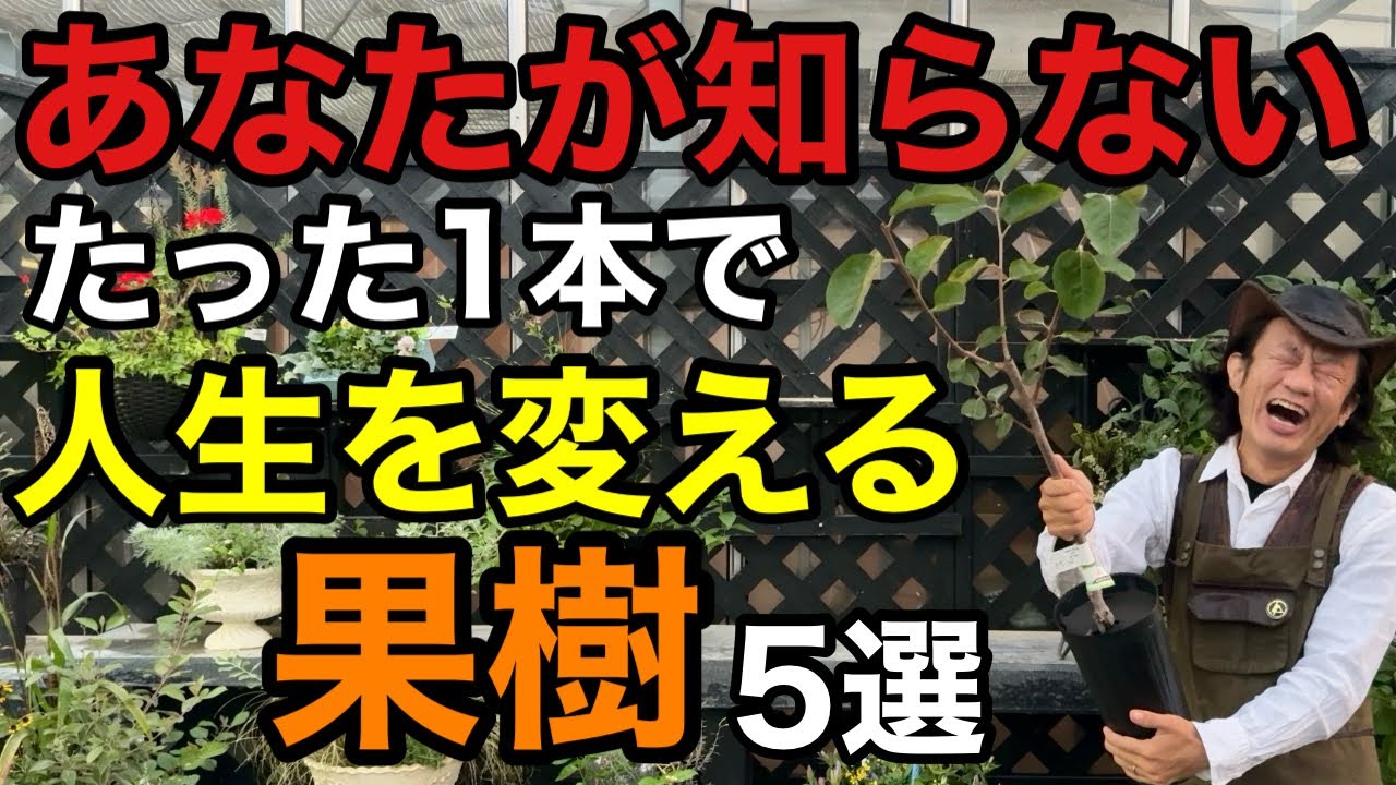【庭でも鉢でも】1本で極上の実がなる果樹教えます　　　　【カーメン君】【園芸】【ガーデニング】【初心者】