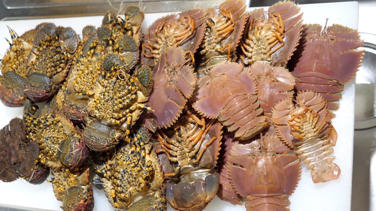 この、謎の虫みたいな生物はいったい・・・？さばき方が独特すぎたw