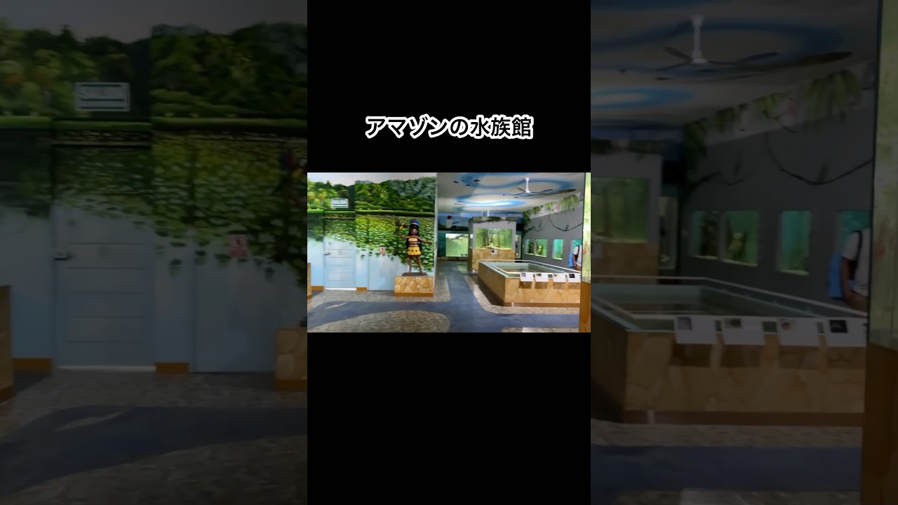 アマゾンの水族館に行ってきました #shorts