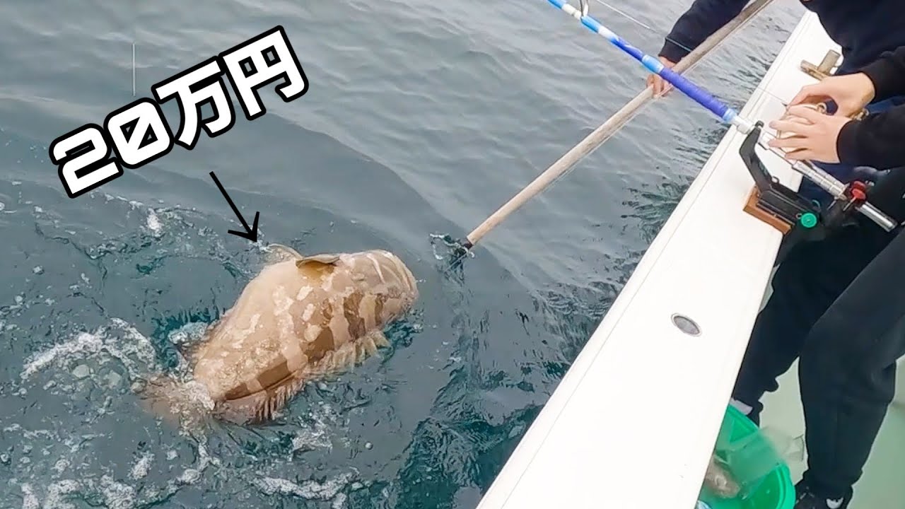 ついに！とんでもない魚を釣り上げてしまいました。