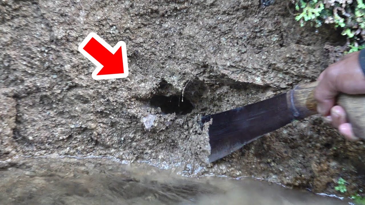 インドネシアの岸壁に空いた巣穴を掘り起こすと、とんでもない虫が飛び出てきます