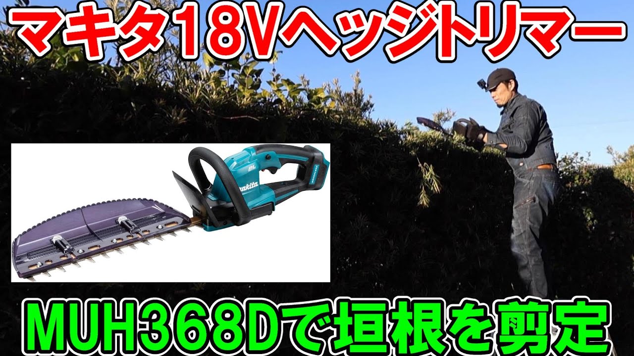 マキタ18VヘッジトリマーMUH368Dで垣根を剪定　偏角拝み刃でめちゃくちゃ切れる！