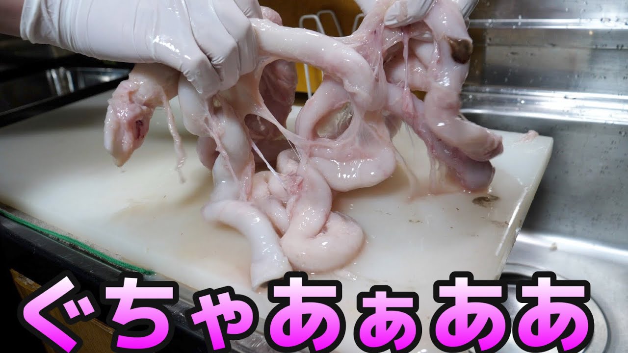 【閲覧注意】40種類の寄生虫が住むマンボウの腸を食べてみた。