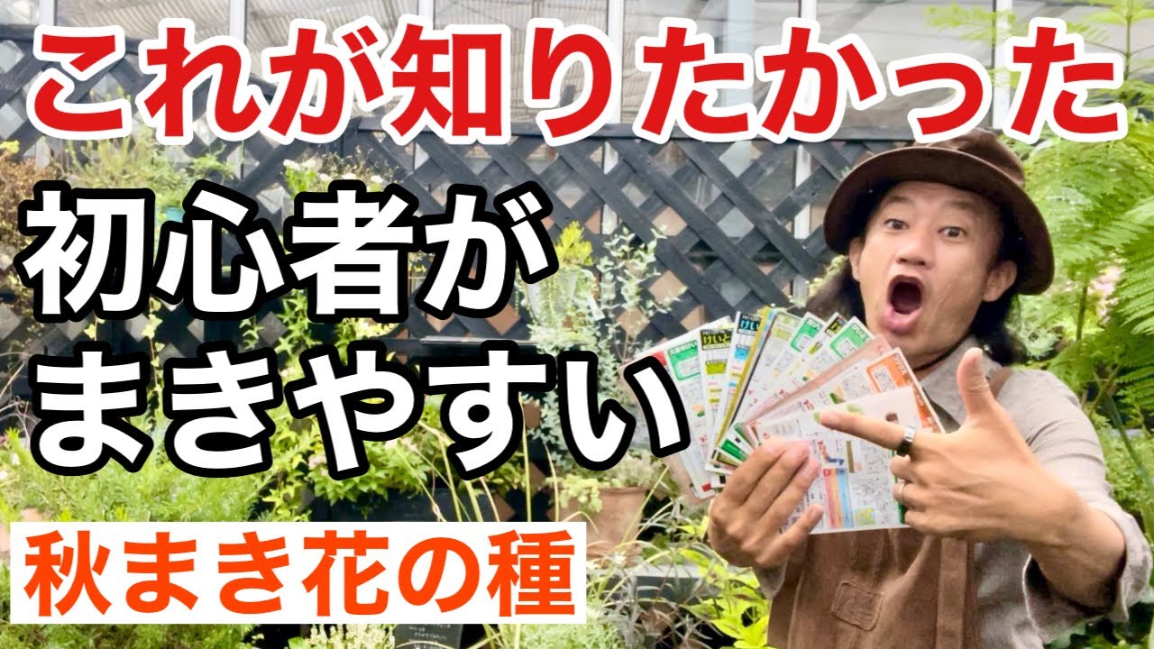 【もう悩まない】誰でも綺麗に飾れる花の種教えます        【カーメン君】【園芸】【ガーデニング】