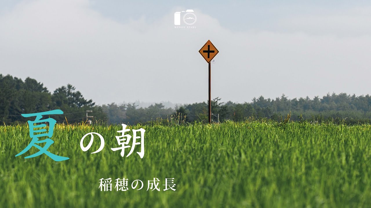 【風景写真】田園風景。田舎の夏景色の移ろい