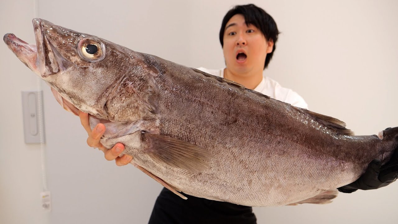 【高級魚】この魚の名前がわかる方。お魚博士です！