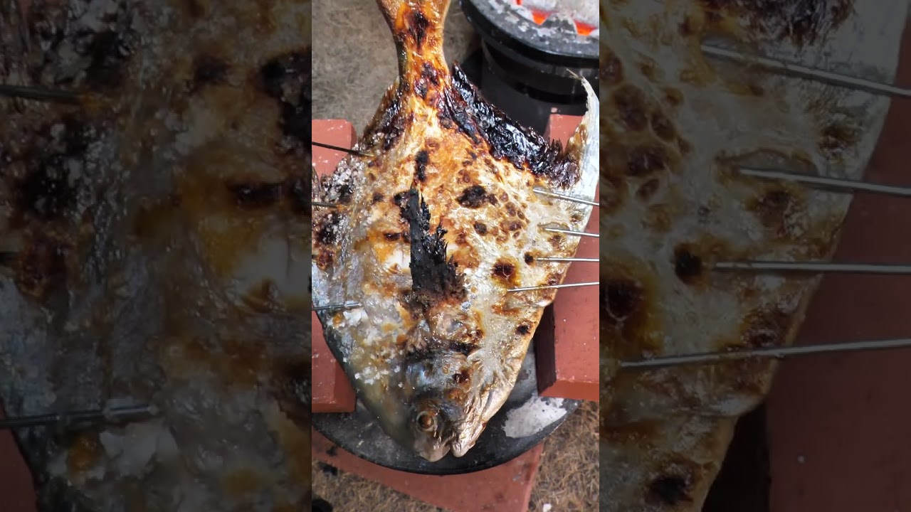 【七輪】マナガツオの炭火焼がうますぎる！　#asmr #seafood #魚捌き #bbq