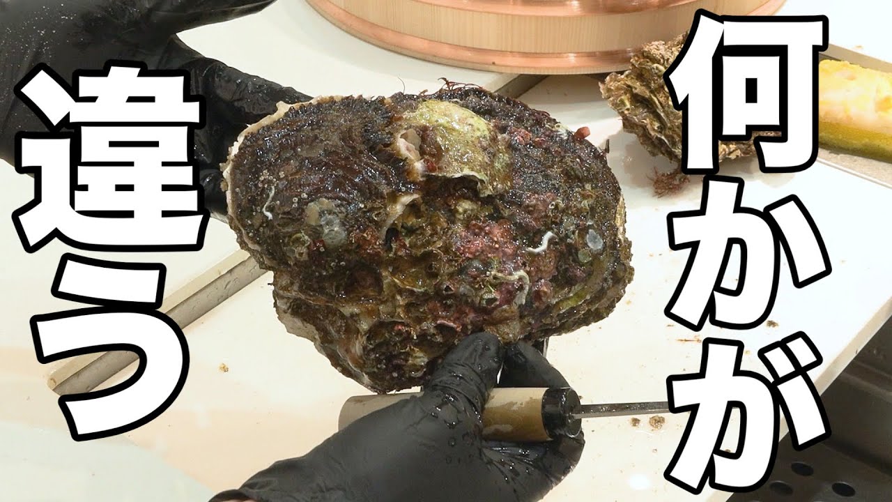 今年の岩牡蠣　様子が変です。