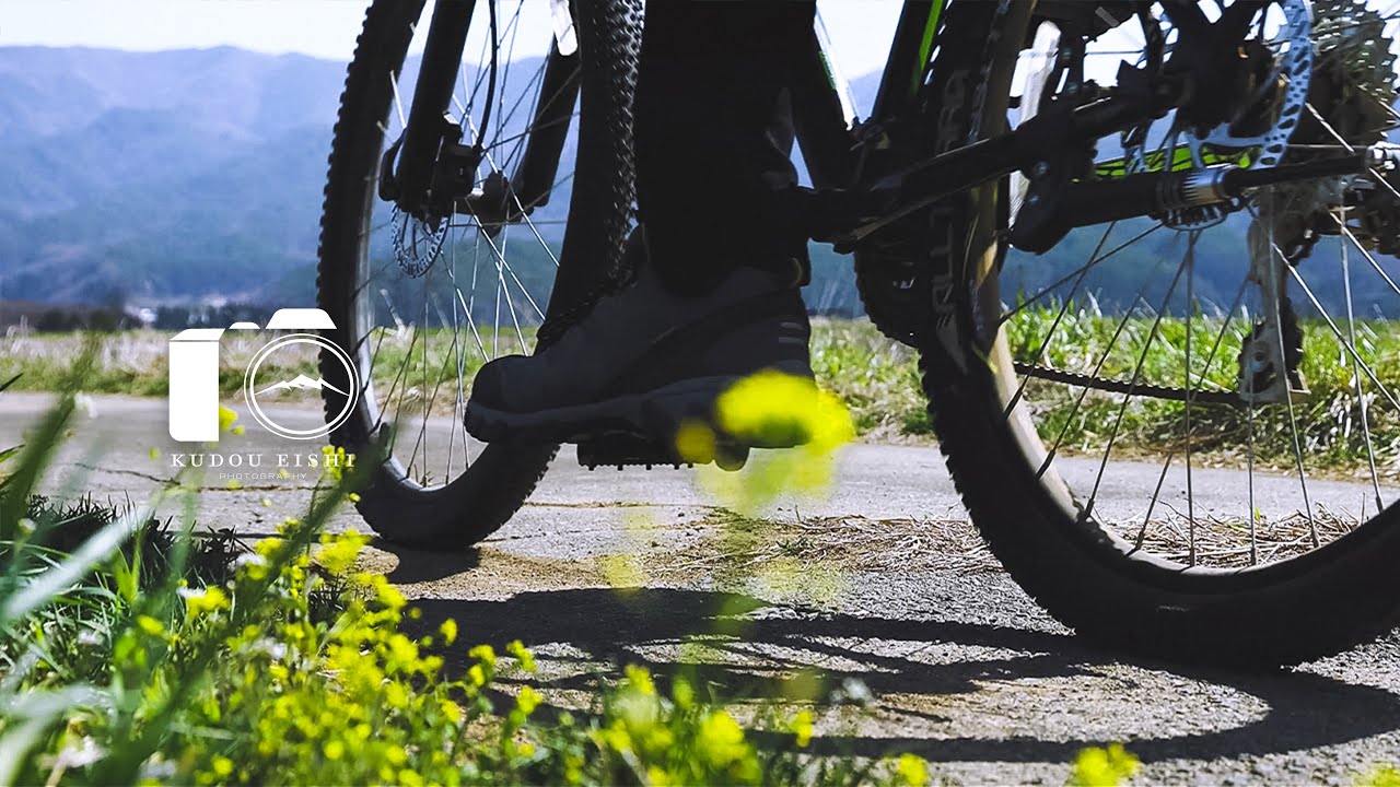 【風景写真】田舎の桜をサイクリングしながら探索｜EOSR6
