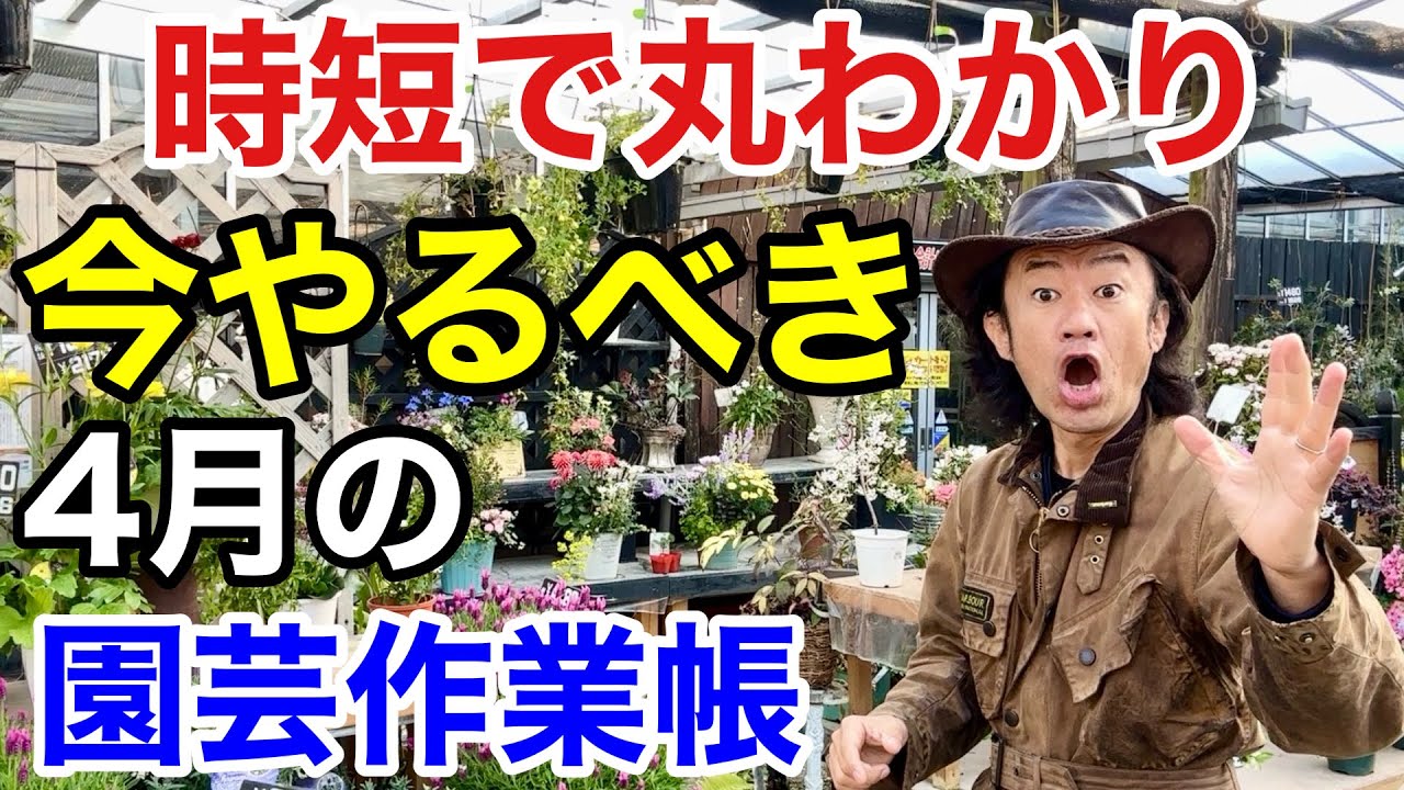 【即席】時間がなくてもこれだけはやっておいて下さい　【カーメン君】【園芸】【ガーデニング】【初心者】