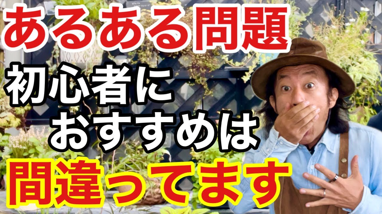 【お店でよく見る】購入する前に確認してください　　　【カーメン君】【園芸】【ガーデニング】【初心者】