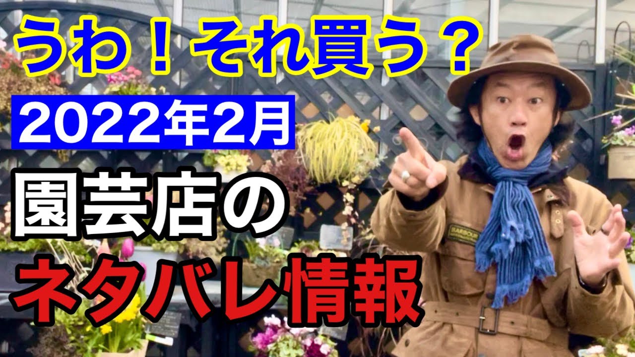 【買いはここ！】2022年2月の園芸裏情報解禁します　　　【カーメン君】【園芸】【ガーデニング】【初心者】