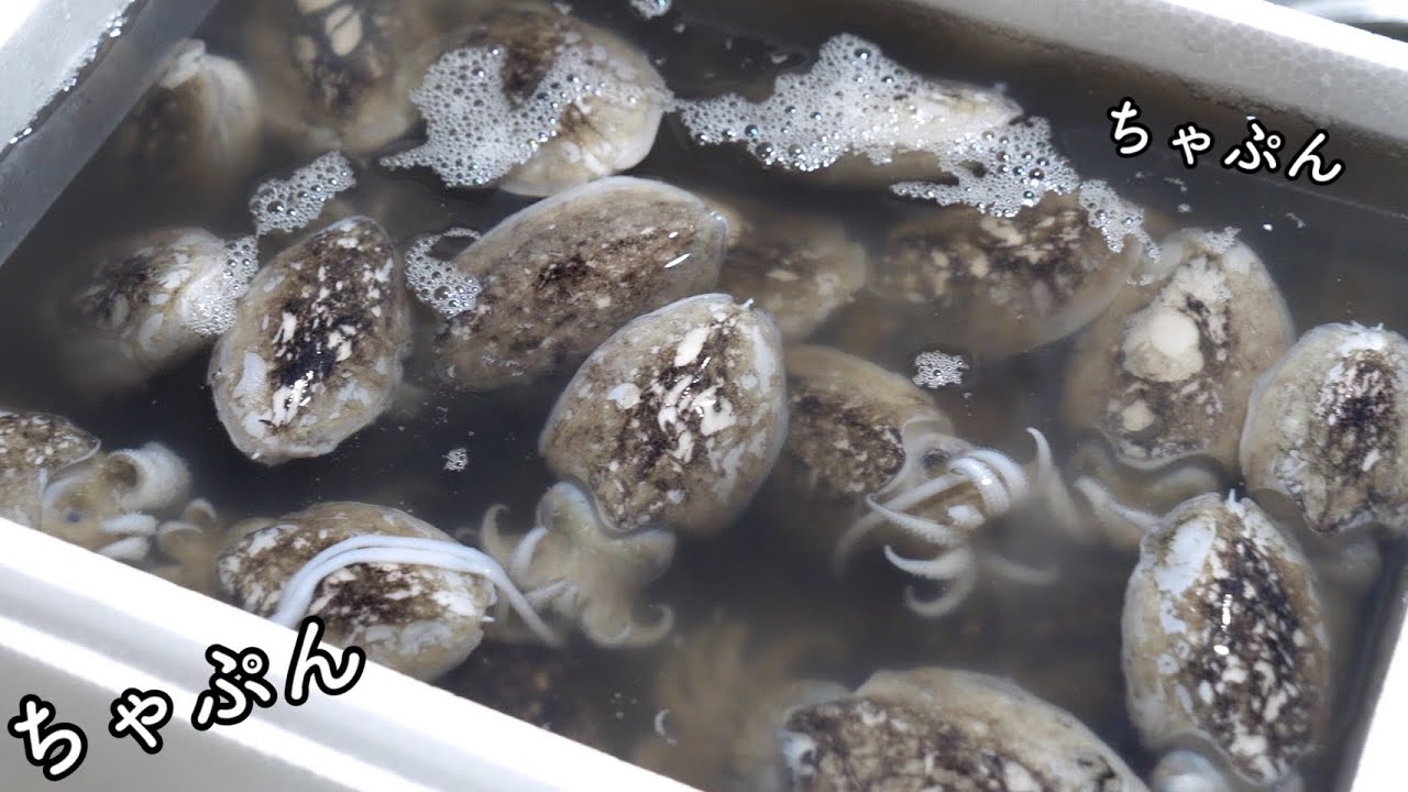 大量の魚介を買ってしまいました。そうだ！【アレ】を作ろう！！