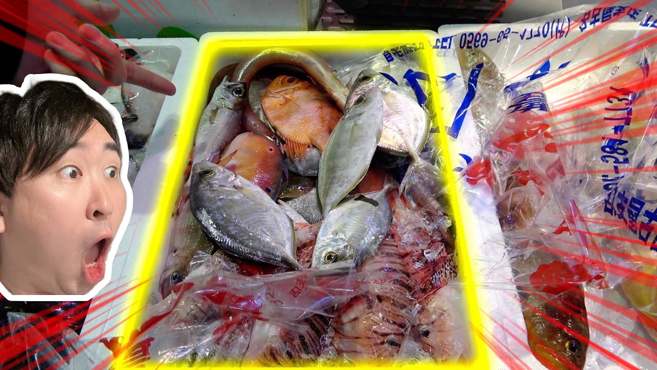 【雑魚】市場に売られていたこのセットに入っている魚がやばすぎるwww