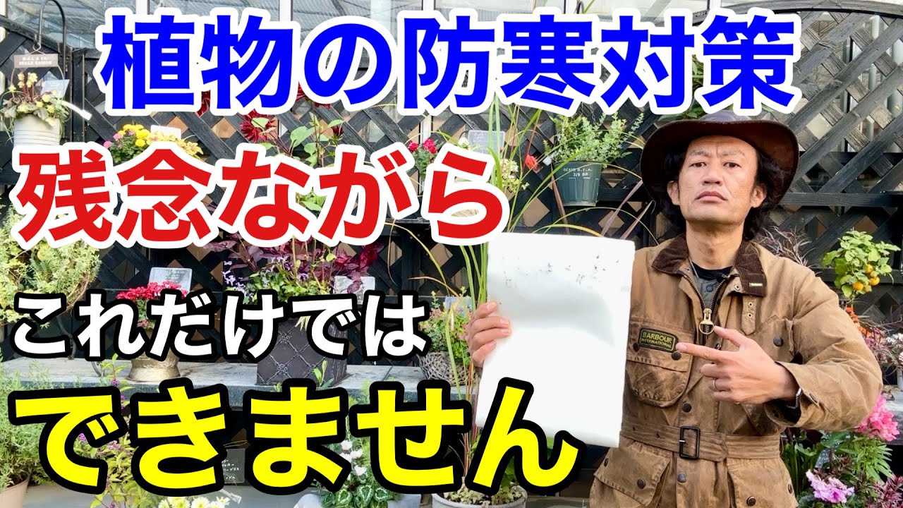 【お急ぎ下さい】植物は寒さから守らないと枯れます　【防寒対策】【カーメン君】【園芸】【ガーデニング】