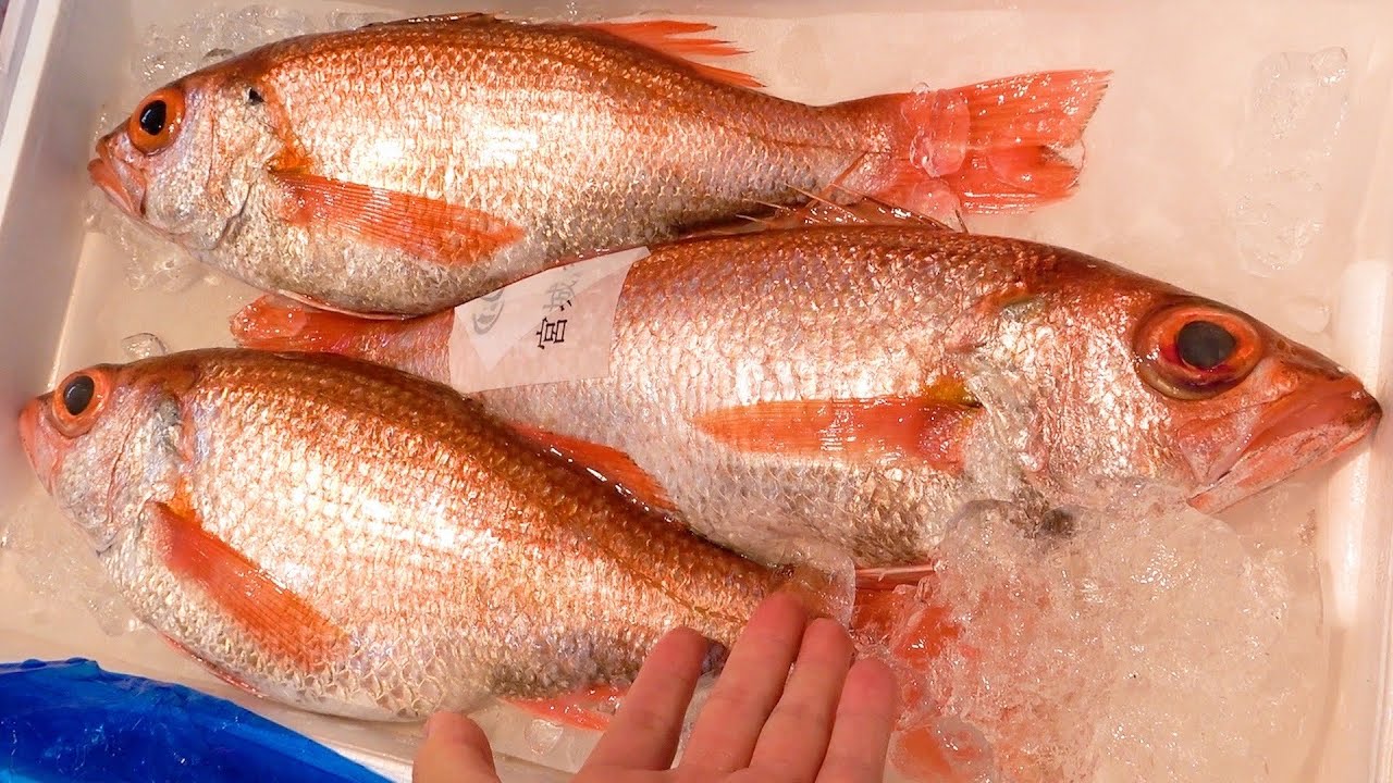 【リクエスト企画】市場で最高の魚みつけてしまいました！