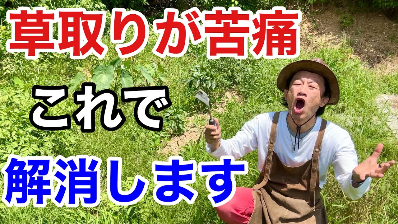 【秒で消える】これに替えるだけで雑草は軽々取れてしまいます　　　　　【カーメン君】【園芸】【ガーデニング】【初心者】