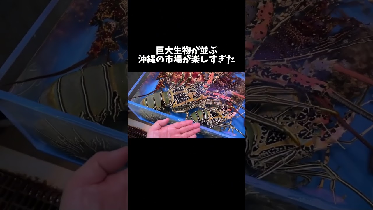 化け物クラスの巨大生物が並ぶ沖縄の市場が楽しすぎた　#shorts