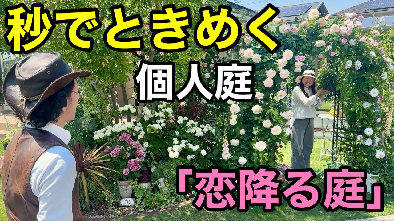 【ため息が止まらない】少しの隙間だけで可愛すぎるは作れます　　　【カーメン君】【個人庭】【めぐさん】【初心者】