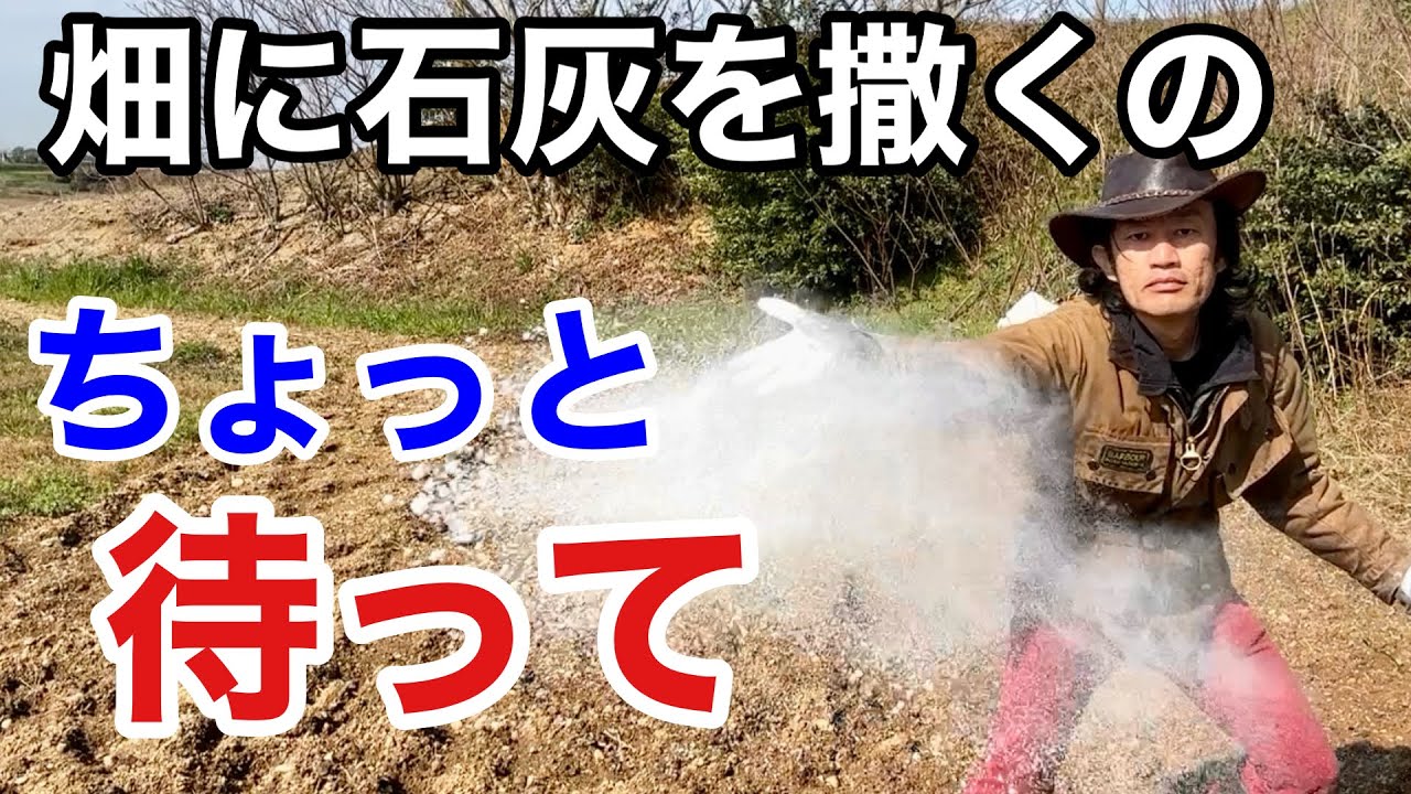 【違う違う違う】石灰の最も効果的な使い方教えます。　　【カーメン君】【園芸】【ガーデニング】【初心者】