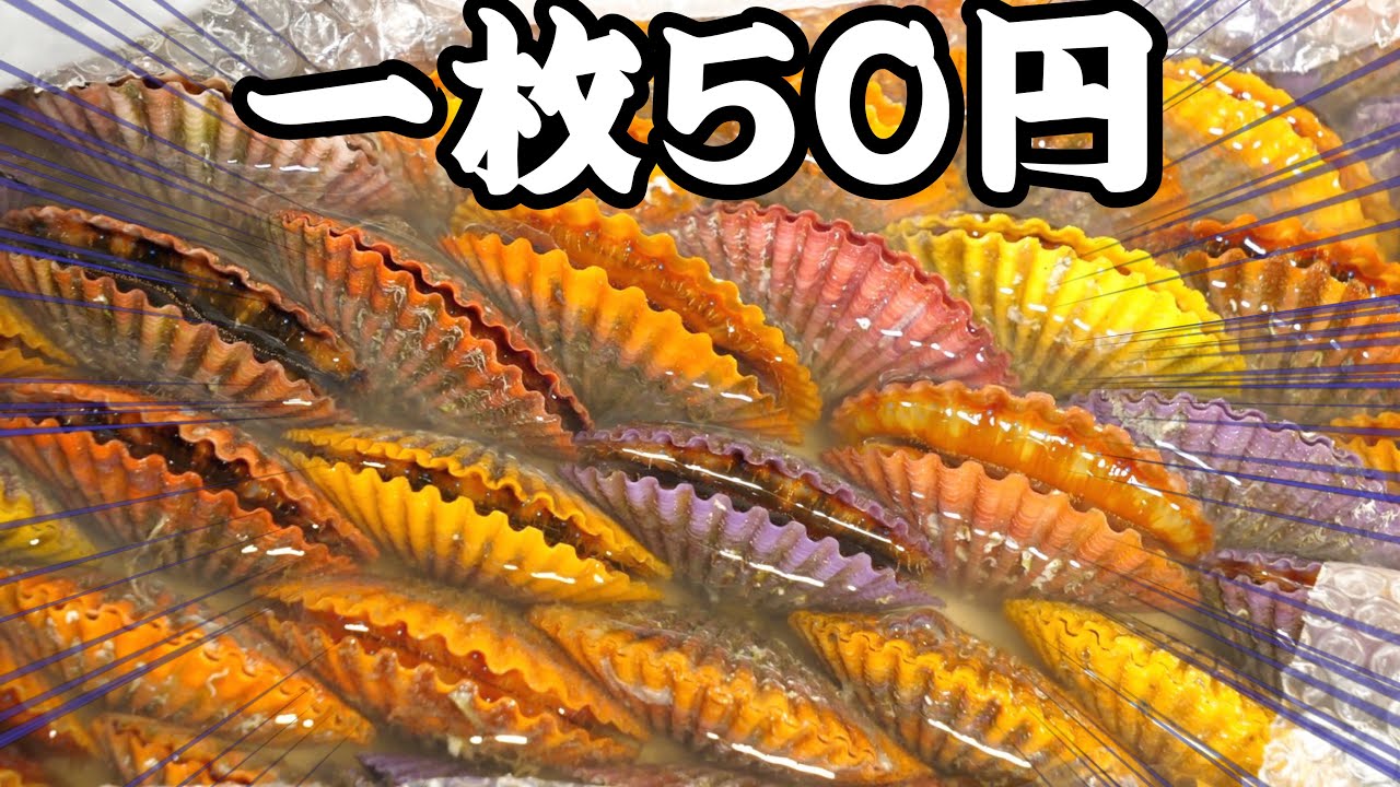 安すぎる謎の『レインボーホタテ』のお味はいかに！？お弁当を作ってみたよ！