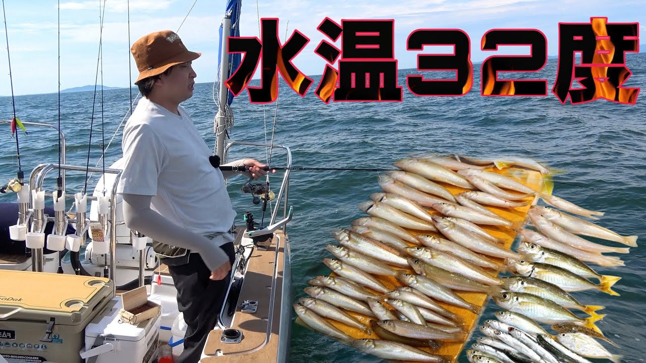 【水中映像あり】海がおかしい。こんな水温で釣れる魚とは？？！