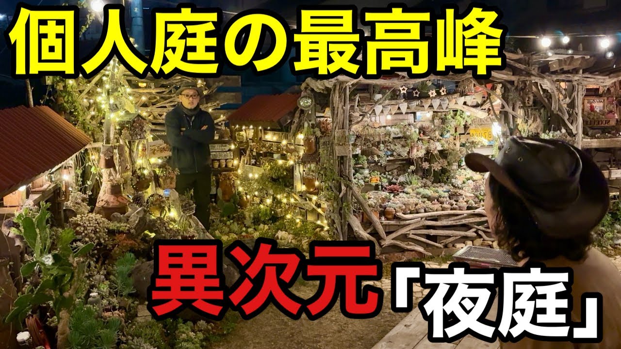 【戦慄のナイトガーデン】この男がまたとんでもない庭を作ってしまった。。。　【カズロック】【多肉庭】