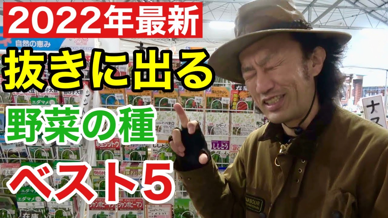 【今年は絶対これ！】春まき野菜の種　ランキング     【カーメン君】【ガーデニング】【初心者】